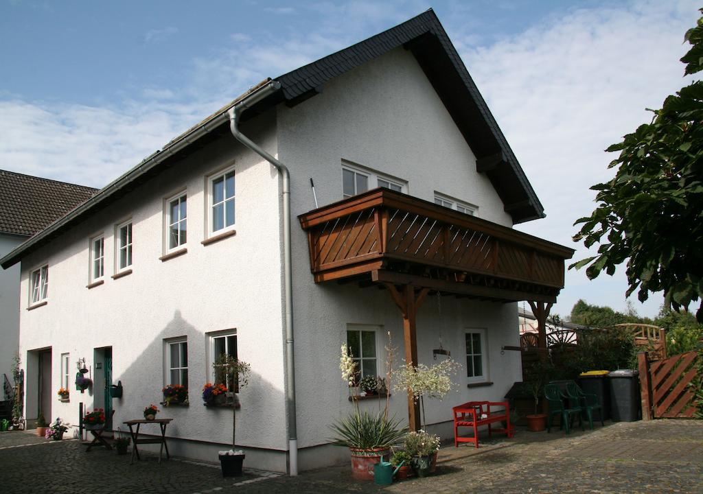 Ferienhaus Ginsterbluete シュライデン エクステリア 写真